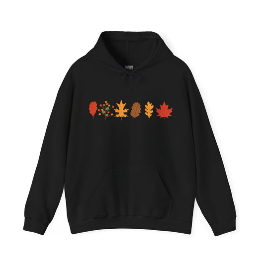 Holy Hill Autumn Leaves Thanksgiving - Unisex Hoodie