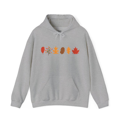 Holy Hill Autumn Leaves Thanksgiving - Unisex Hoodie