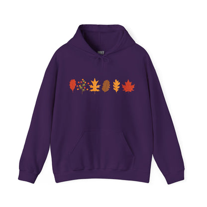 Holy Hill Autumn Leaves Thanksgiving - Unisex Hoodie