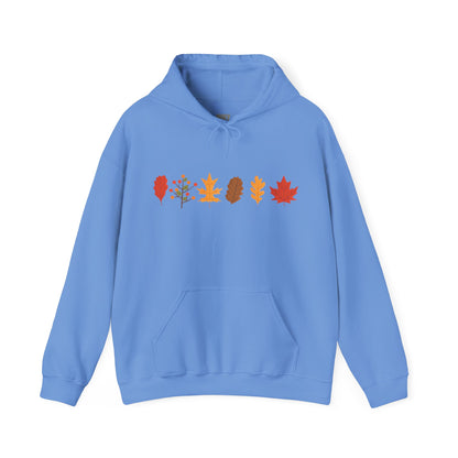 Holy Hill Autumn Leaves Thanksgiving - Unisex Hoodie