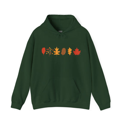 Holy Hill Autumn Leaves Thanksgiving - Unisex Hoodie